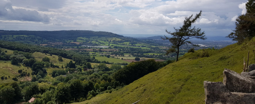 Picture of a hill view from the Wiggly Worm charity walk